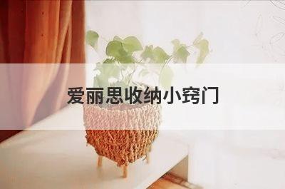 爱丽思收纳小窍门