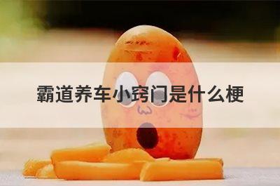 霸道养车小窍门是什么梗