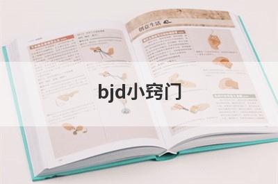 bjd小窍门