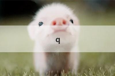 q