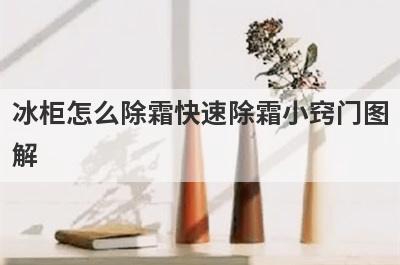 冰柜怎么除霜快速除霜小窍门图
解
