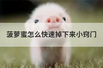 菠萝蜜怎么快速掉下来小窍门