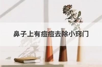 鼻子上有痘痘去除小窍门
