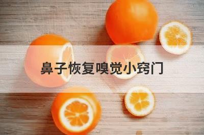 鼻子恢复嗅觉小窍门