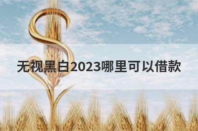 无视黑白2023哪里可以借款