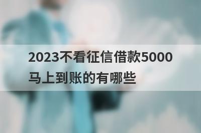 2023不看征信借款5000马上到账的有哪些?盘点5个不需要征信秒到账的平台