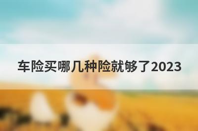 车险买哪几种险就够了2023