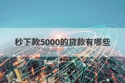 秒下款5000的贷款有哪些?盘点5个不看征信秒下5000的借款平台