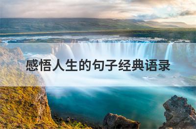 感悟人生的句子经典语录