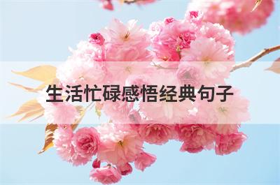 生活忙碌感悟经典句子 生活忙碌感悟经典句子图片