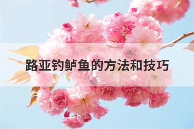 路亚钓鲈鱼的方法和技巧 黑坑路亚钓鲈鱼的方法和技巧