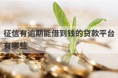 征信有逾期能借到钱的贷款平台有哪些？这几个当天能到账