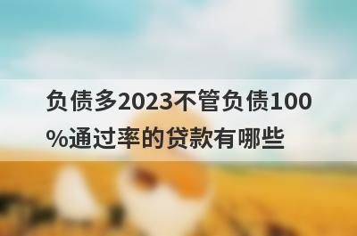 负债多2023不管负债100%通过率的贷款有哪些？这5个贷款容易通过