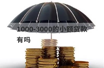 1000-3000的小额贷款有吗？这5个平台百分百下款