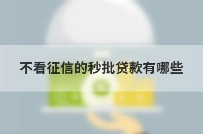 不看征信的秒批贷款有哪些？推荐5个无回访秒到账口子