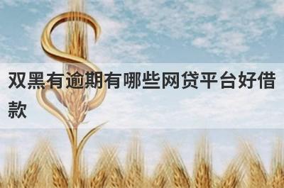 双黑有逾期有哪些网贷平台好借款？试试这5个借款简单的平台