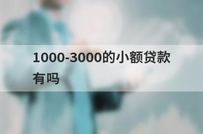1000-3000的小额贷款有吗？这些口子12月份很好通过