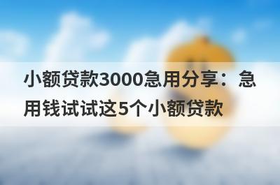 小额贷款3000急用分享：急用钱试试这5个小额贷款！