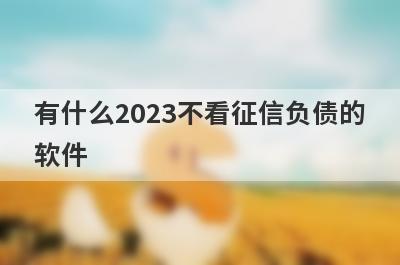 有什么2023不看征信负债的
软件
