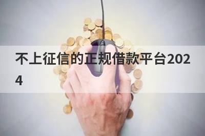 不上征信的正规借款平台2024 小额贷款平台不看征信