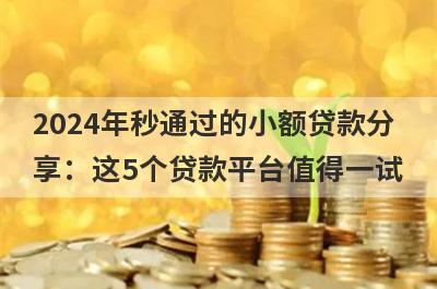 2024年秒通过的小额贷款分享：这5个贷款平台值得一试！
