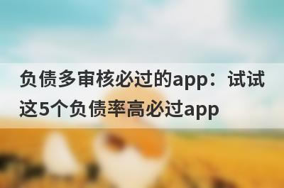 负债多审核必过的app：试试这5个负债率高必过app