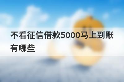 不看征信借款5000马上到账有哪些？盘点5个不看征信容易通过的借款平台