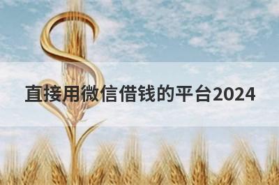 直接用微信借钱的平台2024，微信快速借钱1000