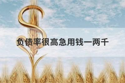 负债率很高急用钱一两千，试试这些小贷平台负债率很高也能借