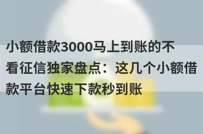 小额借款3000马上到账的不看征信独家盘点：这几个小额借款平台快速下款秒到账！