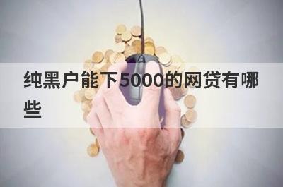纯黑户能下5000的网贷有哪些？这5个纯黑户也能借5000