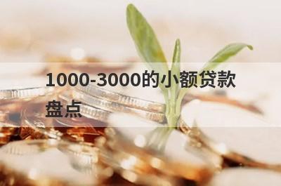 1000-3000的小额贷款盘点，这五个小额借款平台快速下款秒到账！