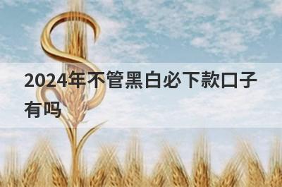 2024年不管黑白必下款口子有吗？这几个网黑审核通过必下款