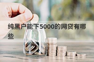 纯黑户能下5000的网贷有哪些？这5个纯黑户也能借5000