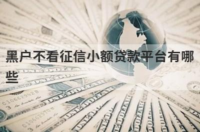 黑户不看征信小额贷款平台有哪些？推荐5个可以借到钱平台