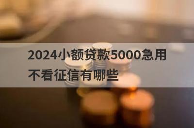 2024小额贷款5000急用不看征信有哪些？推荐5个应急周转下款快平台