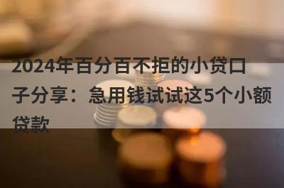 2024年百分百不拒的小贷口子分享：急用钱试试这5个小额贷款！