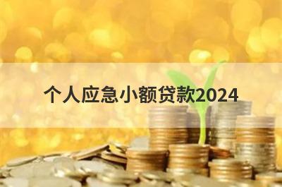 个人应急小额贷款2024 盘点5个靠谱的应急借款app