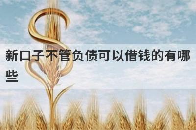 新口子不管负债可以借钱的有哪些？整理5个不管负债必下款平台