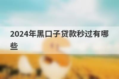 2024年黑口子贷款秒过有哪些？不看征信逾期的贷款平台