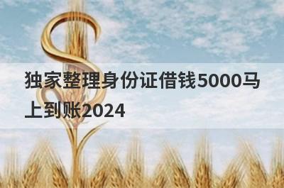 独家整理身份证借钱5000马上到账2024，这5个网贷口子更好下款，秒到账！