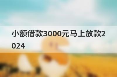 小额借款3000元马上放款2024(小额贷款1000元秒下款)
