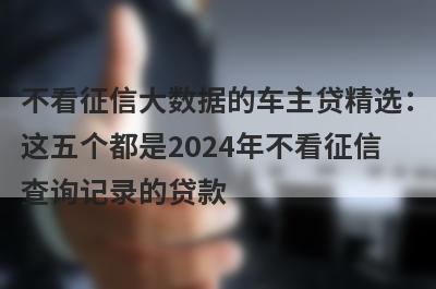 不看征信大数据的车主贷精选：这五个都是2024年不看征信查询记录的贷款