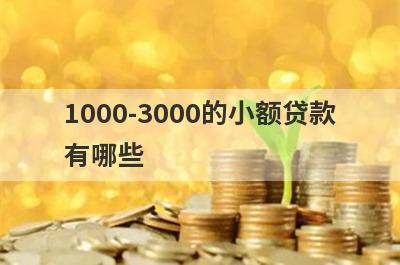 1000-3000的小额贷款有哪些？整理5个小额贷款2000马上能放款的