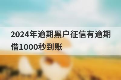 2024年逾期黑户征信有逾期借1000秒到账，整理5个必下款口子