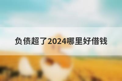 负债超了2024哪里好借钱？盘点几个负债超了容易下款的平台