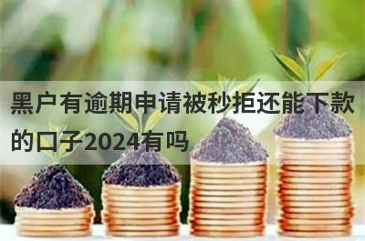 黑户有逾期申请被秒拒还能下款的口子2024有吗？这5个平台百分百下款马上到账