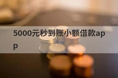 5000元秒到账小额借款app(2024一定借到钱的小额贷款平台)