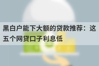 黑白户能下大额的贷款推荐：这五个网贷口子利息低，秒下款！