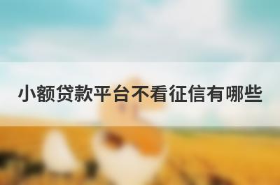 小额贷款平台不看征信有哪些？这五个贷款，快速到账！